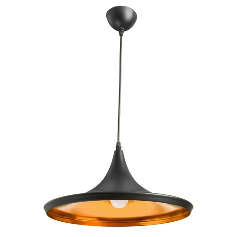 Подвесной светильник Arte Lamp CAPPELLO A3406SP-1BK фото 1