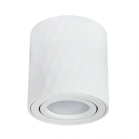 Точечный накладной светильник Arte Lamp FANG A5559PL-1WH фото 1