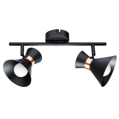 Спот Arte Lamp BALTIMORE A1406AP-2BK фото 1