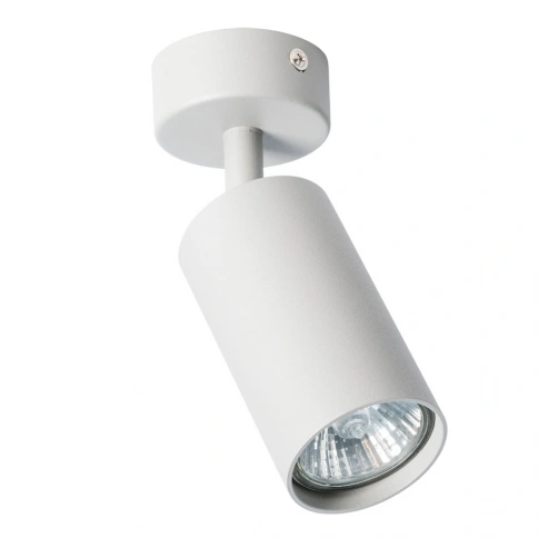 Спот Arte Lamp AQUARIUS A3216PL-1GY фото 1