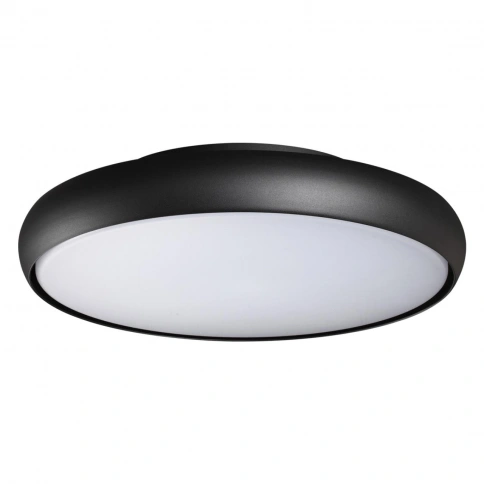 359289 STREET NT24 000 черный Светильник ландшафтный настенно-потолочный IP54 LED 32W 220-240V 4000K фото 1