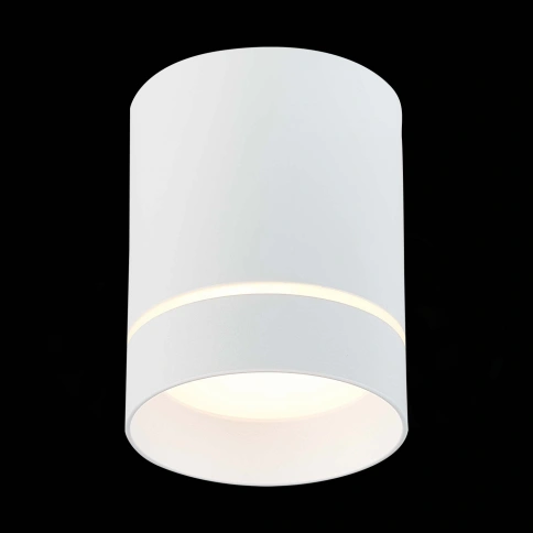 ST115.532.12 Светильник потолочный Белый LED 1*12W 3000K 840Lm Ra>90 120° IP20 D79xH100 170-240V фото 1