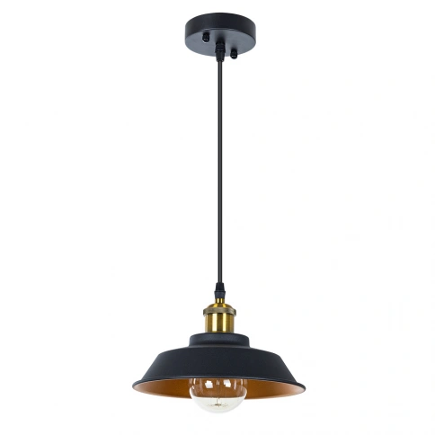 Подвесной светильник Arte Lamp CAPPELLO A7038SP-1BK фото 1