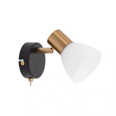 Спот Arte Lamp FALENA A3117AP-1BK фото 1