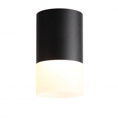ST100.402.05 Светильник потолочный Черный LED 1*5W 3000K 390Lm Ra>80 120° D64xH110 170-240VV фото 1