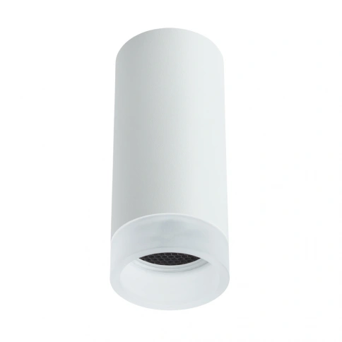 Точечный накладной светильник Arte Lamp OGMA A5556PL-1WH фото 1