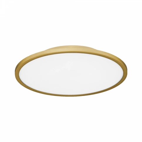 SLE1811-202-01 Светильник потолочный Золотистый/белая LED 1*42W 4000K фото 1
