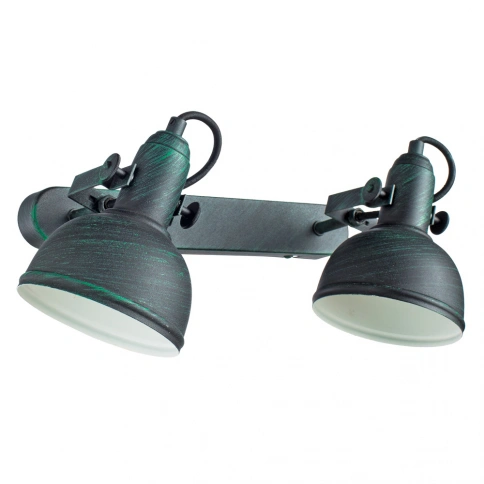 Спот Arte Lamp MARTIN A5213AP-2BG фото 1