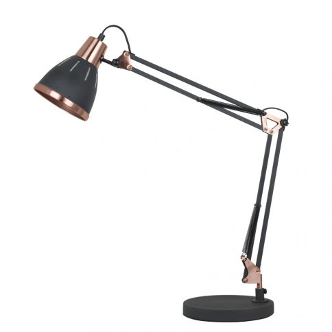 Офисная настольная лампа Arte Lamp PIXAR A2246LT-1BK фото 1