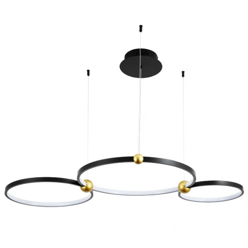 Подвесная люстра Divinare AMADEO 1123/04 SP-75 фото 1