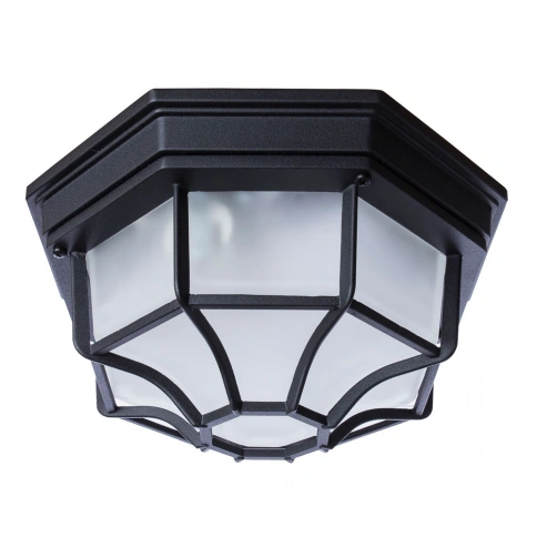 Уличный потолочный светильник Arte Lamp PEGASUS A3100PL-1BK фото 1
