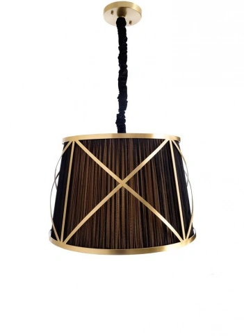 Подвесной светильник Arte Lamp VITRUVIO A2805SP-1BK фото 1