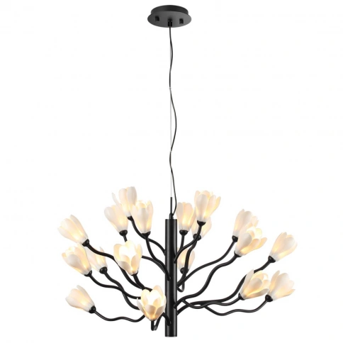 5090/18 MODERN ODL25 561 черный матовый/белый/фарфор Люстра G4 LED 18*5W GARDI фото 4