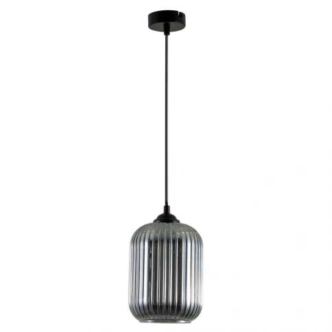 Подвесной светильник Arte Lamp ARWEN A1902SP-1BK фото 1