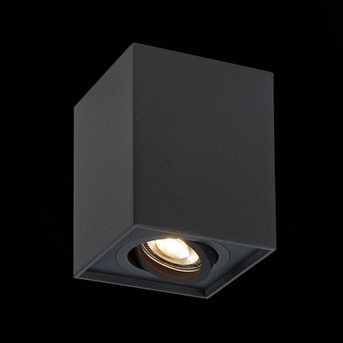 ST109.407.01 Светильник потолочный Черный GU10 1*50W  L100xW100xH123 220V Без ламп фото 1