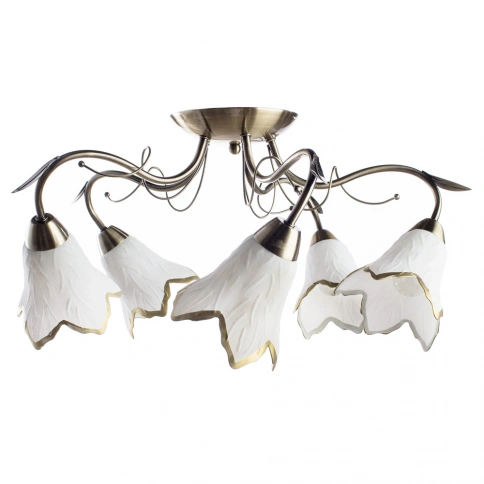 Потолочная люстра Arte Lamp BARBARA A6066PL-5AB фото 1
