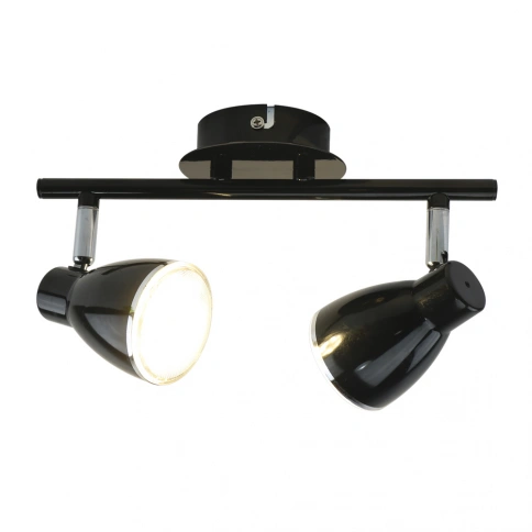 Спот Arte Lamp GIOVED A6008PL-2BK фото 1