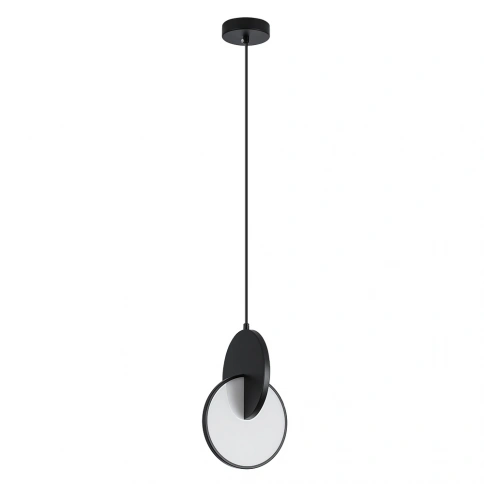 Подвесной светильник Arte lamp HANNAH A1916SP-1BK фото 1