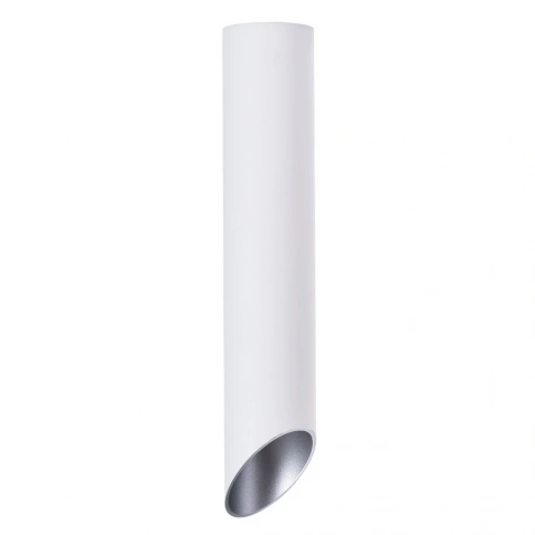 Точечный накладной светильник Arte Lamp PILON-SILVER A1536PL-1WH фото 1