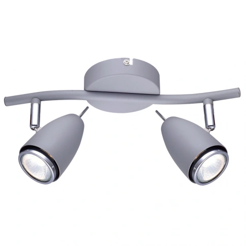 Спот Arte Lamp REGISTA A1966AP-2GY фото 1