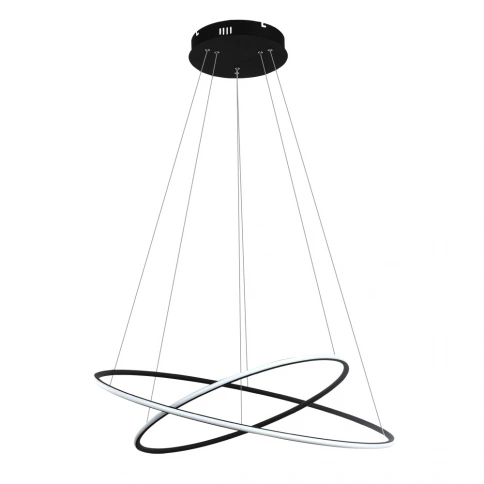Подвесная люстра Arte Lamp RAPID A2500SP-2BK фото 1