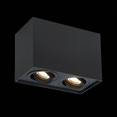 ST109.407.02 Светильник потолочный Черный GU10 2*50W  L181xW100xH123 220V Без ламп фото 1