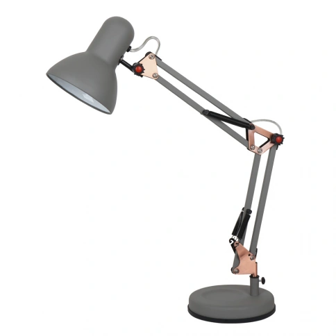 Офисная настольная лампа Arte Lamp JUNIOR A1330LT-1GY фото 1