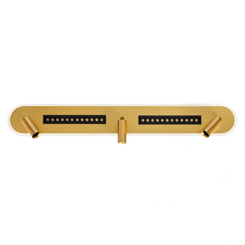 Спот Arte Lamp PISCES A2220PL-3GO фото 1