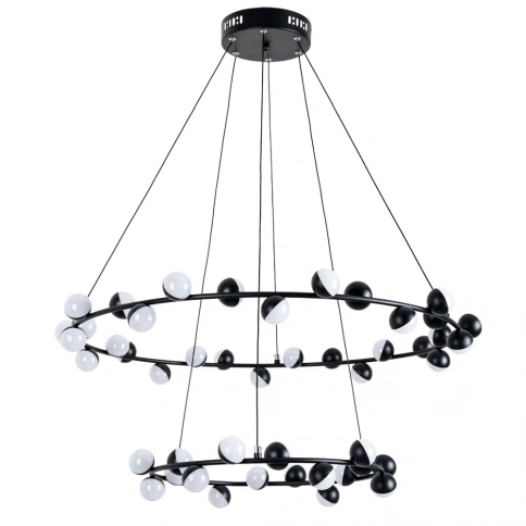 Подвесная люстра Arte Lamp DEXTER A3619SP-48BK фото 1