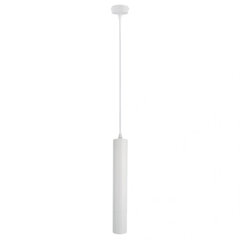 Точечный подвесной светильник Arte Lamp RIDGET A1520SP-1WH фото 1