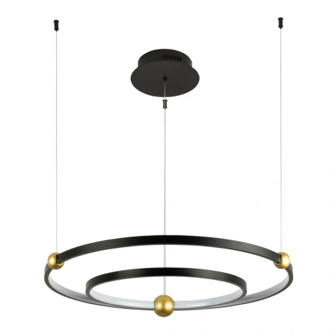 Подвесная люстра Divinare AMADEO 1123/04 SP-65 фото 1