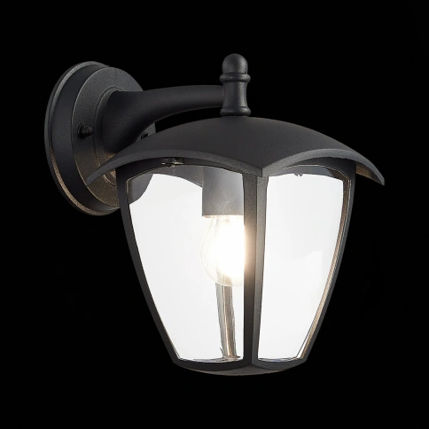 SL081.411.01 Светильник уличный настенный ST-Luce Черный/Черный, Прозрачный E27 1*40W фото 1