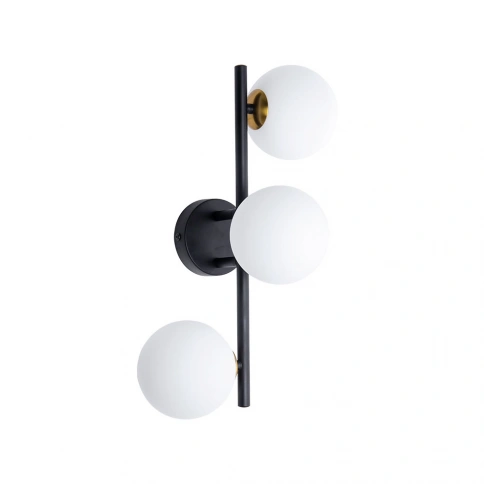 Настенно-потолочный светильник Arte Lamp GEMINI A2243PL-3BK фото 1