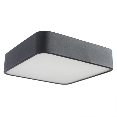 Потолочный светильник Arte Lamp COSMOPOLITAN A7210PL-2BK фото 1