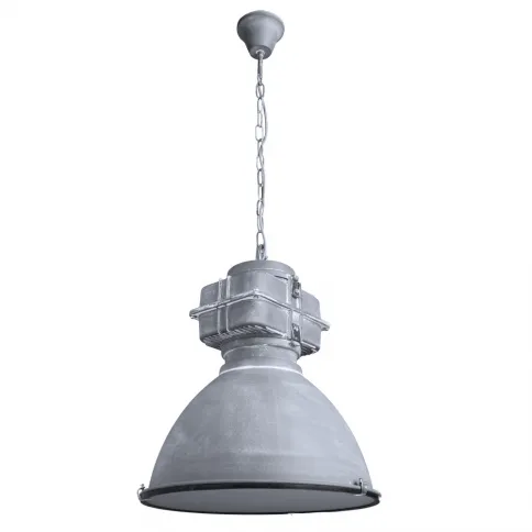 Подвесной светильник Arte Lamp WARHOL A5014SP-1BG фото 1