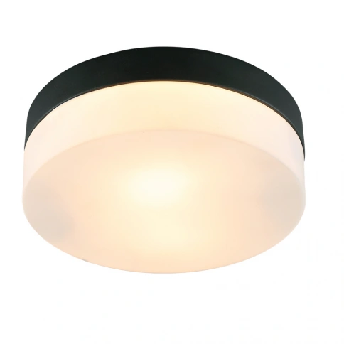 Потолочный светильник Arte Lamp AQUA-TABLET A6047PL-2BK фото 1