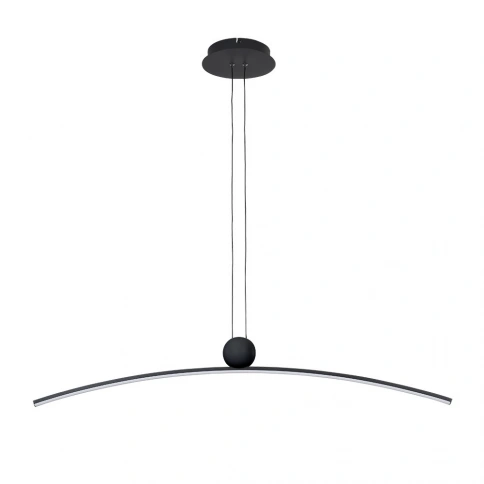 Подвесной светильник Arte Lamp ARNO A3362SP-25BK фото 1