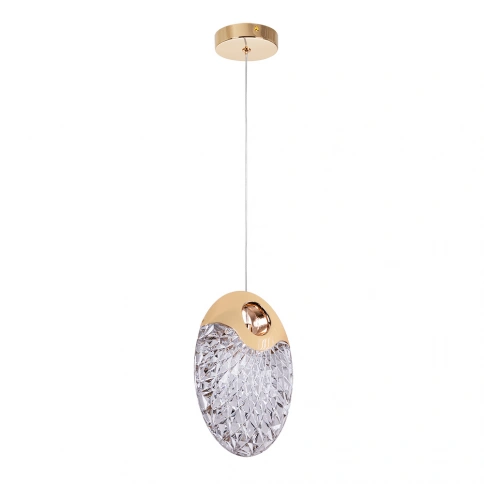 Подвесной светильник Arte Lamp VITORIA A2095SP-1GO фото 1