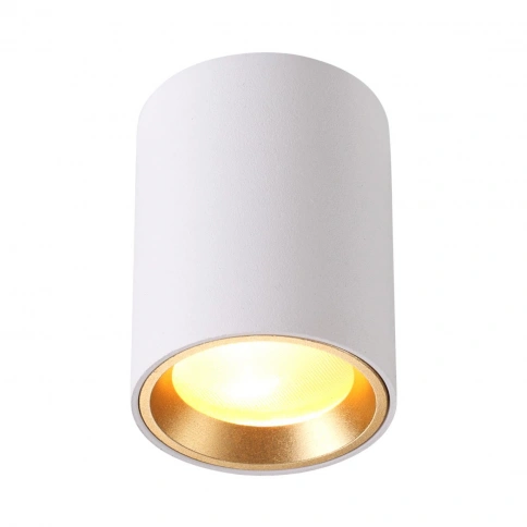 4206/1C HIGHTECH ODL20 393 белый/металл Потолочный светильник GU10 50W IP54 AQUANA фото 2