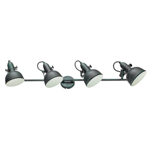 Спот Arte Lamp MARTIN A5215PL-4BG фото 1