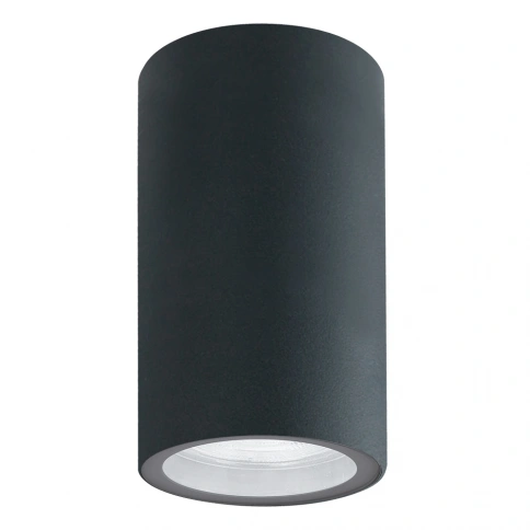 Фасадный светильник Arte Lamp MISTERO A3302PF-1GY фото 1