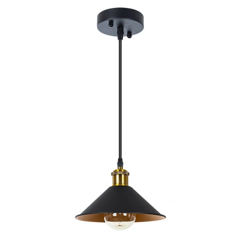 Подвесной светильник Arte Lamp CAPPELLO A7037SP-1BK фото 1