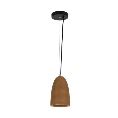 Подвесной светильник Arte Lamp CENTO A7081SP-1BJ фото 1