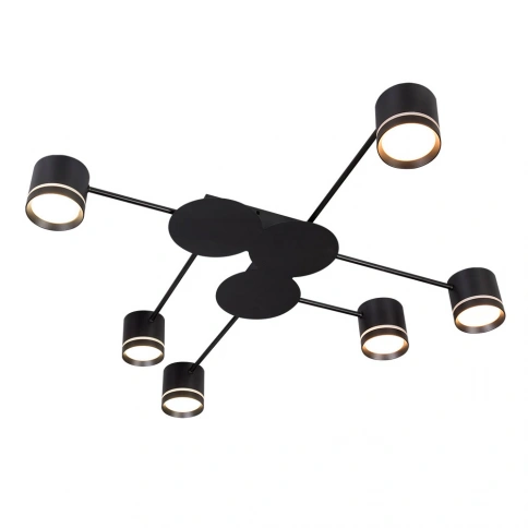 Потолочная люстра Arte Lamp LEGACY A8024PL-6BK фото 1