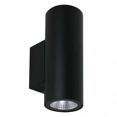Фасадный светильник Arte Lamp TORCULAR A1807AL-2BK фото 1