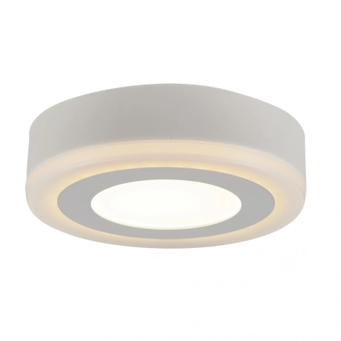 Потолочный светильник Arte Lamp ANTARES A7809PL-2WH фото 1