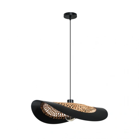 Подвесной светильник Arte Lamp WOODSTOCK A7059SP-1BK фото 1