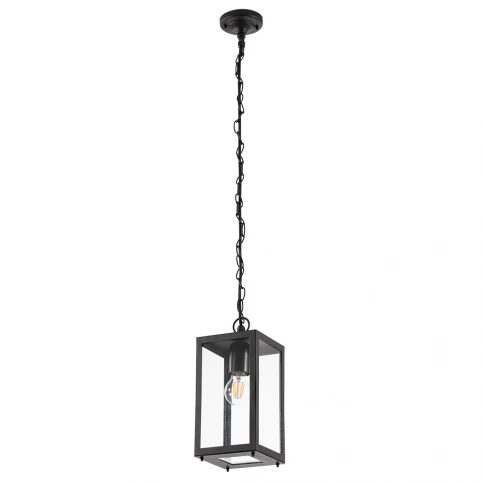 Уличный подвесной светильник Arte Lamp BELFAST A4569SO-1BK фото 1