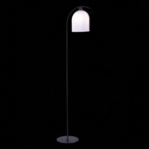 SL1302.405.01 Торшер ST-Luce Черный/Белый E27 LED 1*7W фото 1