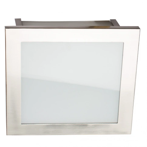 Потолочный светильник Arte Lamp FLUSHES A6064PL-2SS фото 1